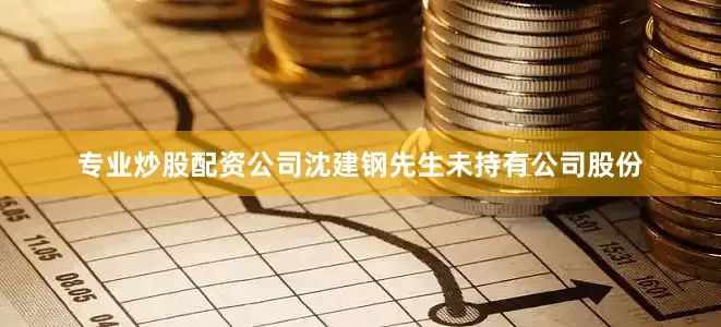 专业炒股配资公司沈建钢先生未持有公司股份